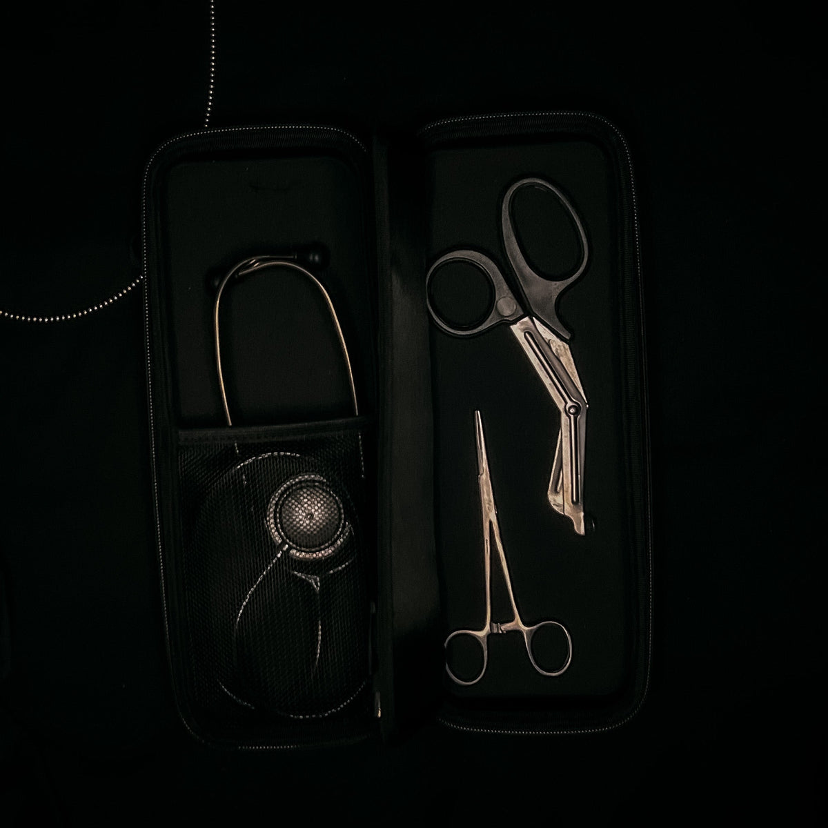 Turquoise Stone Stethoscope Case